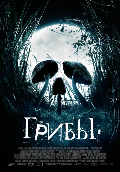 Постер: Грибы